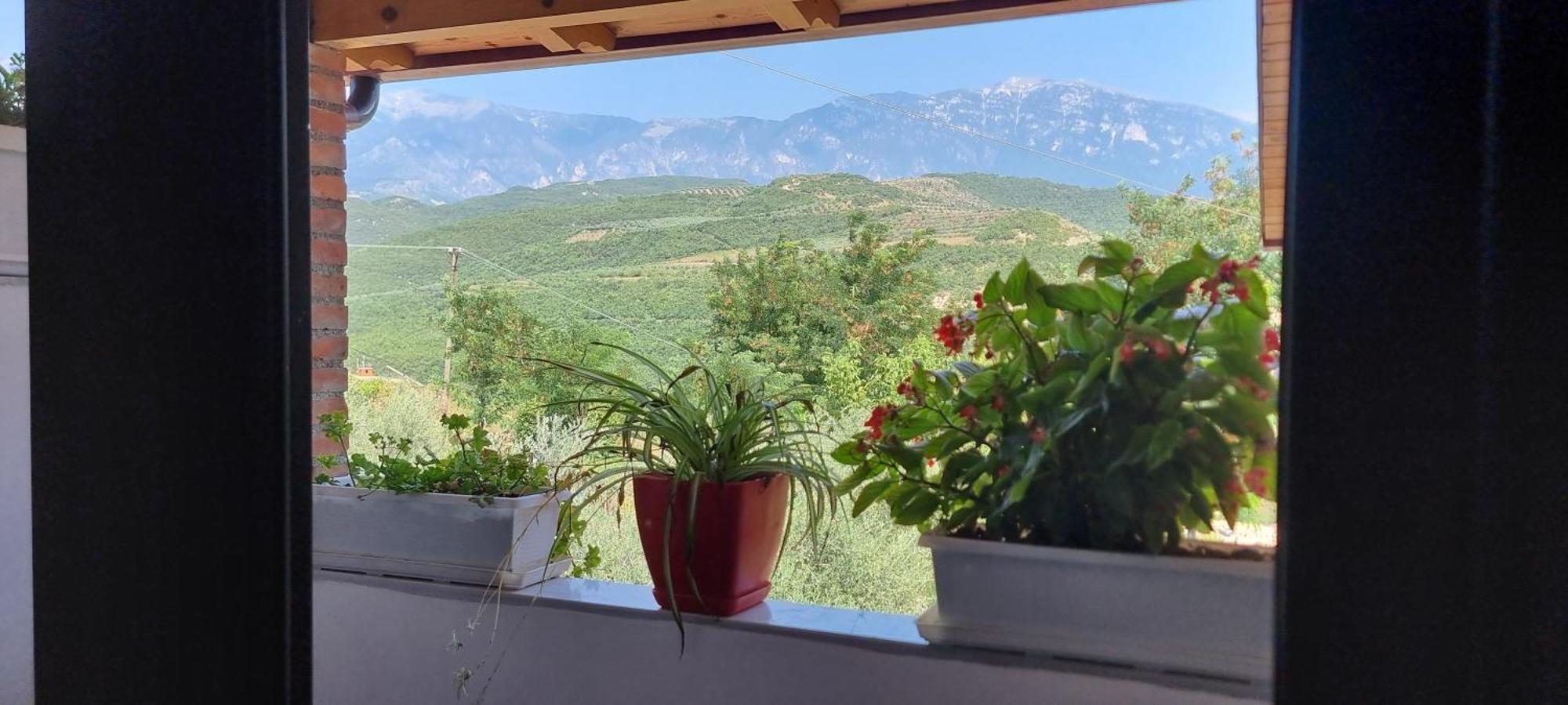 Salillari Guest House Берат Екстериор снимка